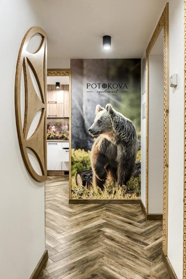 Potokova Apartament Centrum Zakopane Exterior foto