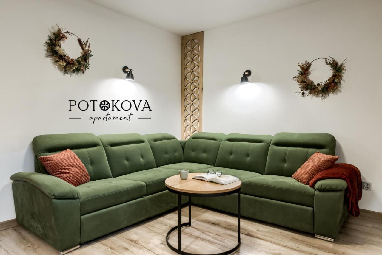 Potokova Apartament Centrum Zakopane Exterior foto