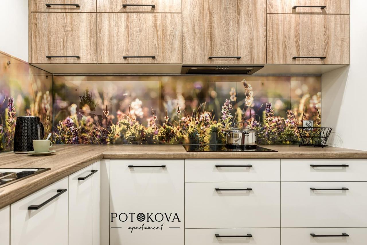 Potokova Apartament Centrum Zakopane Exterior foto