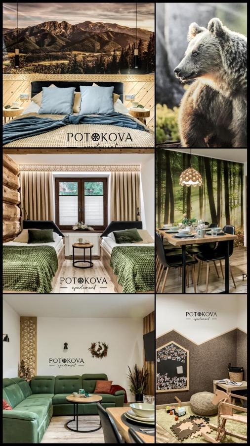 Potokova Apartament Centrum Zakopane Exterior foto